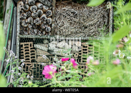 Garden bug hotel, scatola fatta di cose vecchie - coni, mattoni, pietre, paglia - per insetti nel giardino fiorito Insect hotel giardino fiori Foto Stock