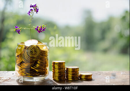 Albero con fiori che crescono su vetro salvadanaio dalla pila di monete d'oro con sfondo sfocato Foto Stock