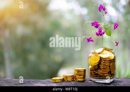 Albero con fiori che crescono su vetro salvadanaio dalla pila di monete d'oro con sfondo sfocato Foto Stock