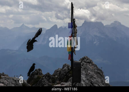 Due giallo-fatturati CHOUGH Pyrrhocorax graculus volare al di sopra di una croce di Gesù sulla cima di una montagna o cresta Foto Stock