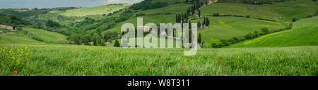 Cypress road vicino al piccolo villaggio di Monticchiello, Toscana, Italia Foto Stock