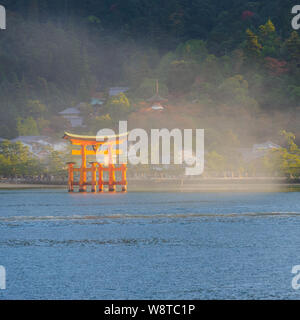 Iconico vermiglio Torii gate nella baia dell'isola di Miyajima catturato in caldi eveing luce laterale rivela ricco e texture dettagliate, Giappone Novembre 2018 Foto Stock