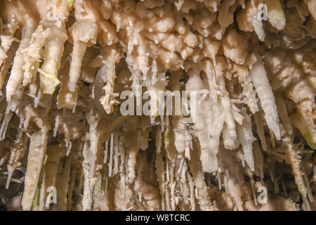 La Grotta dei Cristalli Bermuda - attrazione turistica in Hamilton Bermuda - acqua cristallina & lago sotterraneo - calcare stalattiti e stalagmiti Foto Stock