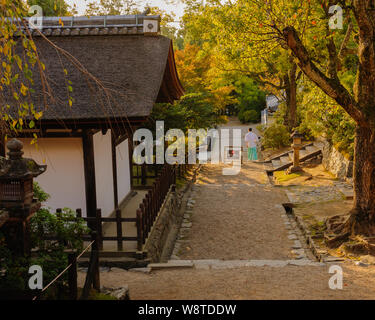 Impressioni di tradizionale giapponese santuario shintoistic architettura in Naras Kasuga Taisha catturato in serata calda luce laterale, Giappone Novembre Foto Stock