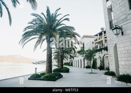 Bellissima vista del terrapieno o sulla strada con case e molte palme nella città costiera di Tivat in Montenegro. Foto Stock