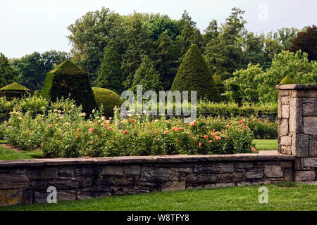 Giardino di Rose, Topiaria da giardino, involucro di pietra, erba, alberi, scena, Longwood Gardens, Kennett Square, PA, Pennsylvania; estate Foto Stock