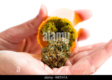 In prossimità di una prescrizione vaso riempito con boccioli di cannabis con le mani per raggiungere un servizio su uno sfondo bianco Foto Stock