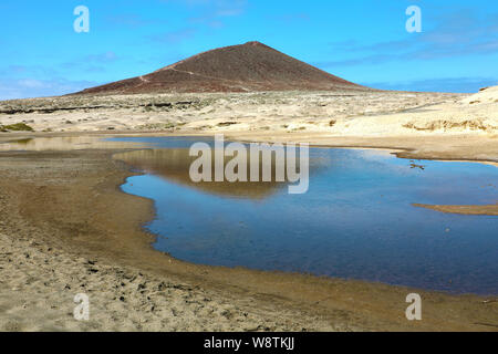 Vista stupefacente del Montana Roja vulcano con stagno nella riserva naturale del deserto di sabbia di El Medano, Tenerife, Spagna Foto Stock