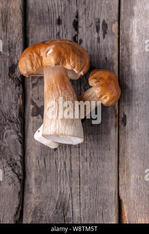 Foresta di funghi selvatici su un rustico sfondo di legno. Close-up. Vista dall'alto. Colpo verticale Foto Stock