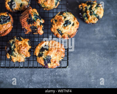 In casa vegan muffin ai mirtilli sulla griglia di raffreddamento. Uovo vegetariana-free muffin su sfondo scuro. Vista superiore piatta o laici. Copia spazio per il testo o il design. Foto Stock