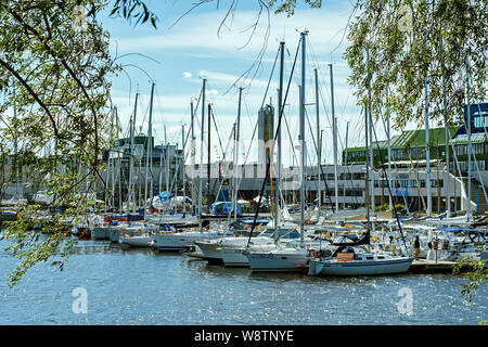 Tallinn, Estonia, 29 Giugno: Molti yacht in piedi su un molo del porto di Tallinn, 29 giugno 2019. Foto Stock