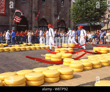 Formaggio-facchini ruote portanti di formaggio Gouda sulla slitta al mercato del formaggio di Alkmaar, Alkmaar, North Holland (Olanda settentrionale), il Regno dei Paesi Bassi Foto Stock