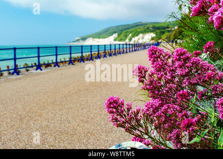 A piedi dalla spiaggia di Holywell, Eastbourne Foto Stock