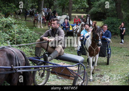 Romani Gypsy viaggiatori incontrarsi per un annuale ottenere insieme nella nuova foresta. Comunità di viaggio carrello racers a Brockenhurst, Hampshire, Inghilterra, Regno Unito Foto Stock