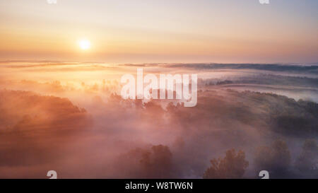 Estate natura paesaggio panorama dell'antenna. Mattinata nebbiosa del fiume e della foresta nel sole. Una natura che stupisce di scena a misty sunrise. La Bielorussia, Europa Foto Stock