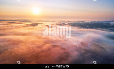 Estate sunrise e la nebbia di mattina oltre il bosco panorama dell'antenna. Estate natura paesaggio. La natura la luce del sole in scena con fasci di luce. La Bielorussia, Europa Foto Stock