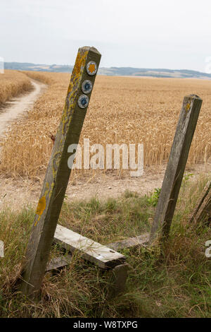 Sentiero pubblico segno su un post, marcatura percorso attraverso un campo di grano. Terreni agricoli. Foto Stock