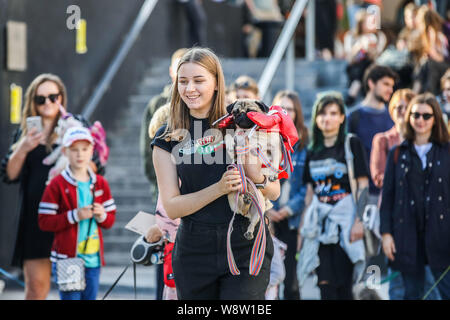 Mosca, Russia. 11 Ago, 2019. Una donna e il suo cane partecipare al partito Doggie a Mosca, in Russia, il 11 agosto, 2019. Doggie partito, un concorso per cani, ha avuto luogo la domenica a Mosca. Credito: Maxim Chernavsky/Xinhua Foto Stock