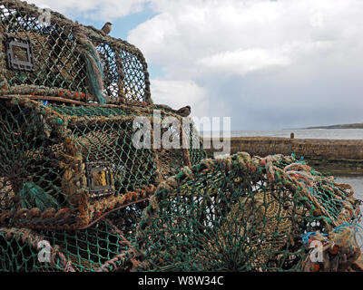 Casa passeri pesce persico in cima di pescatori di granchi e aragoste pentole accanto al molo di St Andrews, in East Neuk, Fife sullato costa est della Scozia,UK Foto Stock