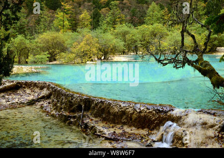 Il paesaggio di un laghetto presso il laghetto Multi-Colored a scenico e storico di Huanglong Area di interesse nella contea di Songpan, Aba Tibetan & Qiang Prefetto autonoma Foto Stock