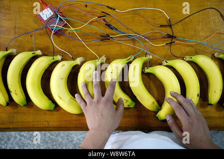 Jv Dalong, uno studente da Southwest Jiaotong University, dimostra la riproduzione della tastiera composta di banane da lui creati all'SWJTU Makerspace l Foto Stock