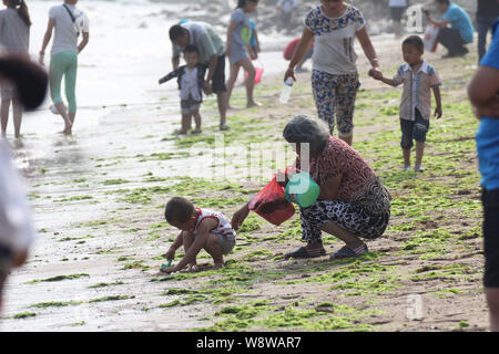 I turisti hanno il divertimento a un alghe-coperto beach resort in Qingdao City East Chinas provincia di Shandong, 22 giugno 2014. Una fioritura di alghe o verde di marea, Foto Stock