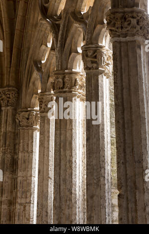 Dettaglio del tracery nel chiostro della Cattedrale di Oviedo. La capitale asturiana di Oviedo è il tradizionale punto di partenza del Camino Primitivo, un Foto Stock
