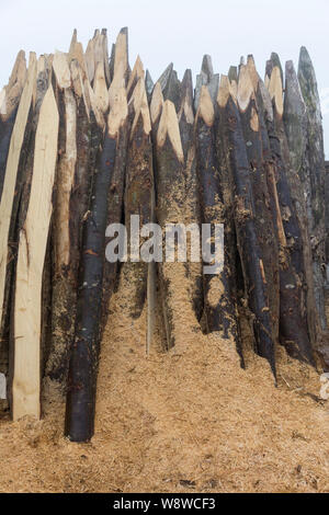 Sbozzati posti su una fattoria vicino al villaggio di La Espina lungo il Camino Primitivo. Questo impopolare percorso del Camino de Santiago pellegrinaggio eseguire Foto Stock