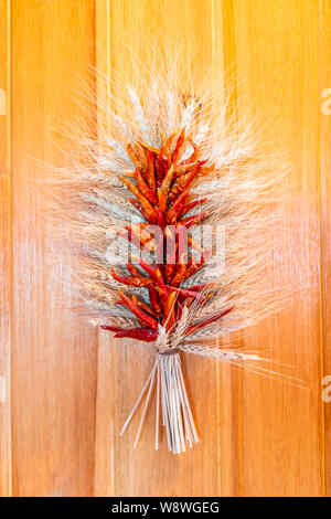 Ristra messicano essiccato il Cile rosso peperoncino appeso come decorazione sulla porta in casa nel Nuovo Messico macro closeup Foto Stock