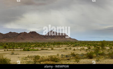 Panorama cactus Saguaro nel deserto montagna sulla skyline di Arizona Foto Stock