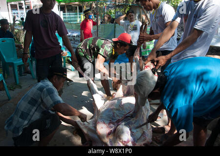 Makassar, Indonesia - Agosto 11th, 2019. Persone Processi la carne delle vacche sacrificied durante l'Eid al-Adha festival. Musulmani indonesiani e i musulmani di tutto il mondo celebrano l'Eid al-Adha Domenica a Lunedi. Il giorno santo chiamato anche la "Festa del sacrificio", è il secondo di due festività Islamiche celebrato in tutto il mondo ogni anno dopo l'Eid al-Fitr. Foto Stock