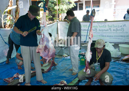 Makassar, Indonesia - Agosto 11th, 2019. Persone Processi la carne delle vacche sacrificied durante l'Eid al-Adha festival. Musulmani indonesiani e i musulmani di tutto il mondo celebrano l'Eid al-Adha Domenica a Lunedi. Il giorno santo chiamato anche la "Festa del sacrificio", è il secondo di due festività Islamiche celebrato in tutto il mondo ogni anno dopo l'Eid al-Fitr. Foto Stock