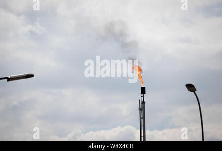 Emlichheim, Germania. 08 Ago, 2019. Vista di una fiaccolata attività durante la produzione di petrolio greggio nei locali di Wintershall Dea GmbH. Per più di 70 anni, il petrolio greggio è stata prodotta in Grafschaft Bentheim. Durante le indagini del perdeva acqua del serbatoio in Wintershall Dea GmbH campo petrolifero, un'esplorazione è bene chiarire la portata. Alla fine di luglio, è stato reso noto che fino a 220.000 metri cubi di rifiuti tossici serbatoio acqua aveva trasudava nel terreno di un campo di olio a causa di un tubo arrugginito. Credito: Friso Gentsch/dpa/Alamy Live News Foto Stock