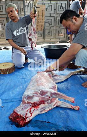 Alcuni volontari tagliarono la carne sacrificale nel giorno di Eid al Adha. EID al Adha è un evento islamico tradizionale quando una certa carne fresca è data ai poveri. Foto Stock