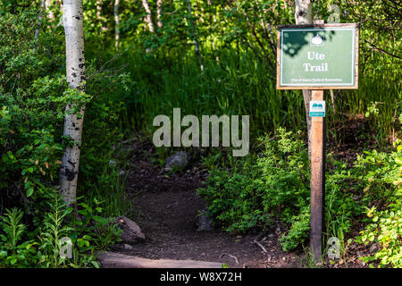 Aspen, Stati Uniti d'America - 27 Giugno 2019: città in Colorado con segno per ute trail escursioni nei pressi di città in estate Foto Stock