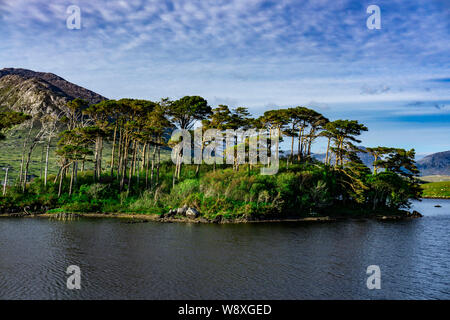 Giornata di sole su Pine Island, il Parco Nazionale del Connemara, Irlanda Foto Stock