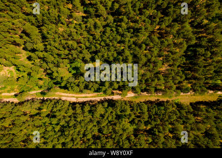 Strada nella primavera forest aerial vista dall'alto. La neve si scioglie sul lato della strada e tra gli alberi. Foto Stock