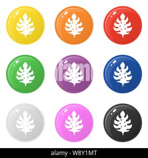 Foglia di monstera set di icone 9 colori isolato su bianco. Raccolta di round lucido pulsanti colorati. Illustrazione Vettoriale per qualsiasi tipo di design. Illustrazione Vettoriale