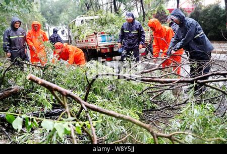 L Hebei, Hebei, Cina. 12 Ago, 2019. L Hebei, CINA-per giorni, colpite dal tifone lekima, Qinhuangdao city, nella provincia di Hebei haigang district golden bay da sogno in una linea di dipendenti dell'organizzazione ac per prendere parte a controllo di inondazione e di soccorso in caso di catastrofe lavori connessi e pronti a controllo di inondazione e sacchi di sabbia, giacche, pale e altro controllo di inondazione e forniture, area di notifica business, mercanti controllo di inondazione e prepararsi ad essere pronto per il pericolo. Credito: SIPA Asia/ZUMA filo/Alamy Live News Foto Stock