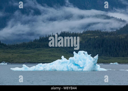 Iceberg di interessanti forme e le pinne fluttuanti nell'oceano del Prince William Sound. Dietro l'iceberg sulle colline di una nebbia bassa si insinua su th Foto Stock