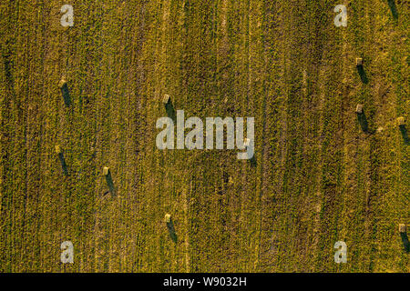 Antenna fuco foto di rotoli di fieno, balle nel campo di grano nel tardo pomeriggio le luci Foto Stock