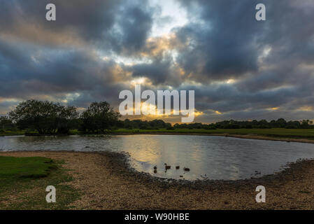 Rotture di nuvole che si muovono velocemente il paesaggio in una giornata di vento dopo una tempesta in una serata estiva in New Forest, Hampshire, Inghilterra, Regno Unito Foto Stock