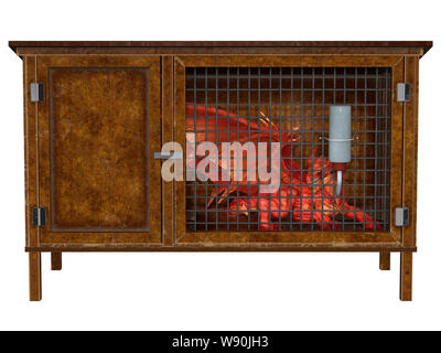 Piccoli animali domestici drago rosso in un hutch Foto Stock