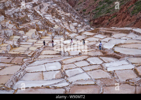 Maras Saltpan Salinas nella Valle Sacra degli Incas, vicino a Cusco.Perù Foto Stock