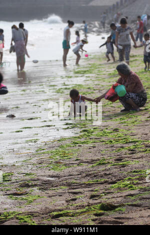 I turisti hanno il divertimento a un alghe-coperto beach resort in Qingdao City East Chinas provincia di Shandong, 22 giugno 2014. Una fioritura di alghe o verde di marea, Foto Stock