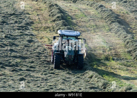 Agricoltore remare fino al fieno con un trattore Hurlimann e a due pass rastrello su una collina di pennini agriturismo vicino a Ravenstondeale, Cumbria. Foto Stock