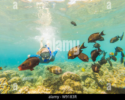 Donna felice in snorkeling maschera subacquea Immersioni con pesci tropicali in Coral reef piscina sul mare. Lo stile di vita di viaggio, acqua sport outdoor adventure, nuoto Foto Stock