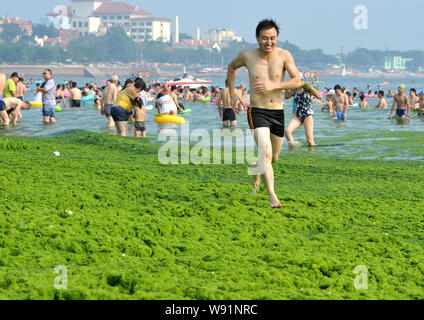 Un uomo cammina su una spiaggia coperta da fitti i muschi e le alghe in Qingdao City East Chinas provincia di Shandong, 3 luglio 2013. Quest anno le alghe tossiche bloom Foto Stock