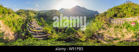 Cascata verde campo di riso piantagione a Bali, Indonesia Foto Stock