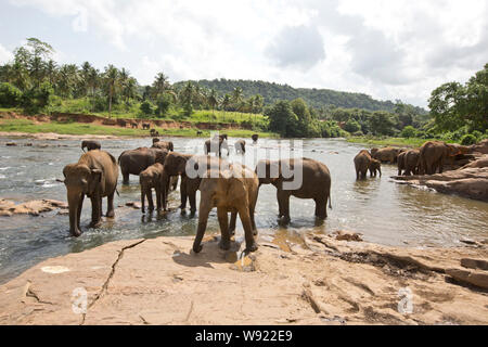 SRI LANKA Foto Stock